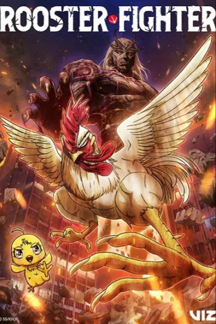 Боевой петух